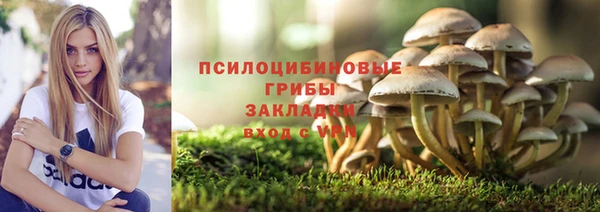 скорость mdpv Гусев