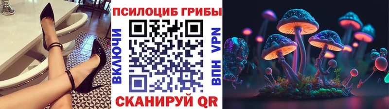 Псилоцибиновые грибы GOLDEN TEACHER  Купить  Нурлат 